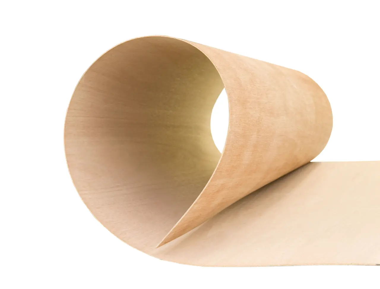 Bendy Ply 