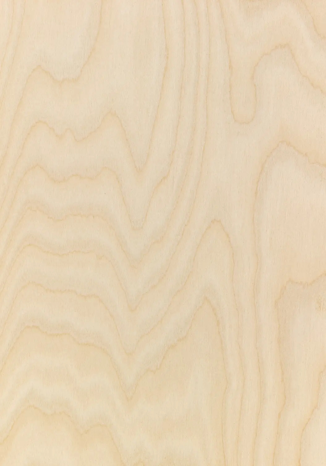 Classique Birch-Pre 