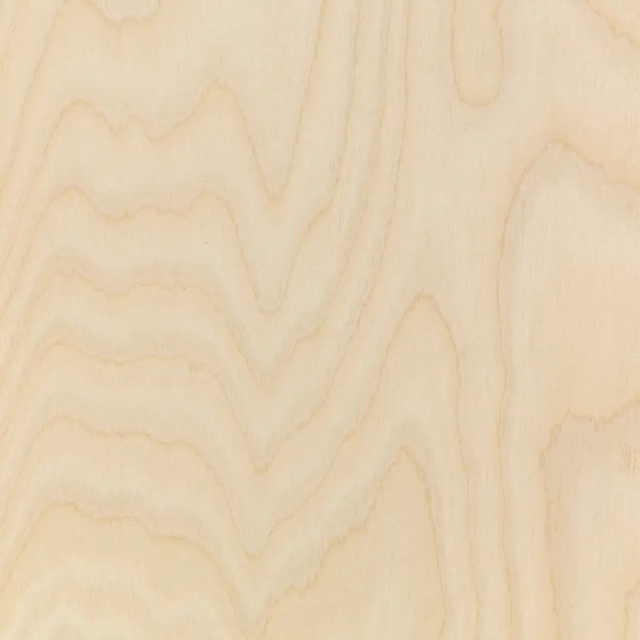 Classique Birch 