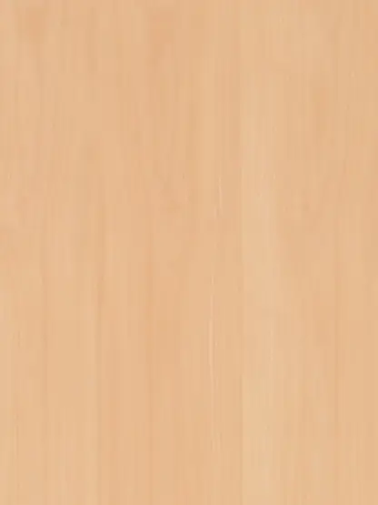 Steamed European Beech