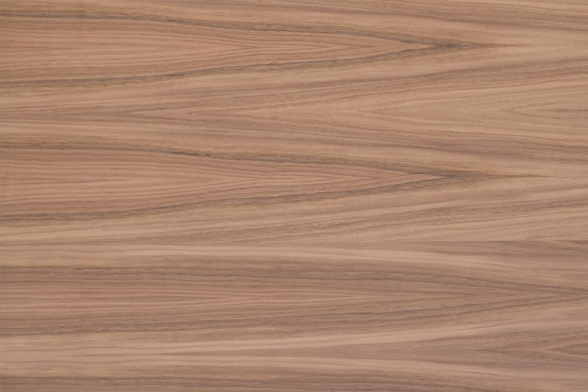 American Walnut 