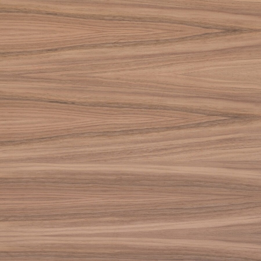 American Walnut 