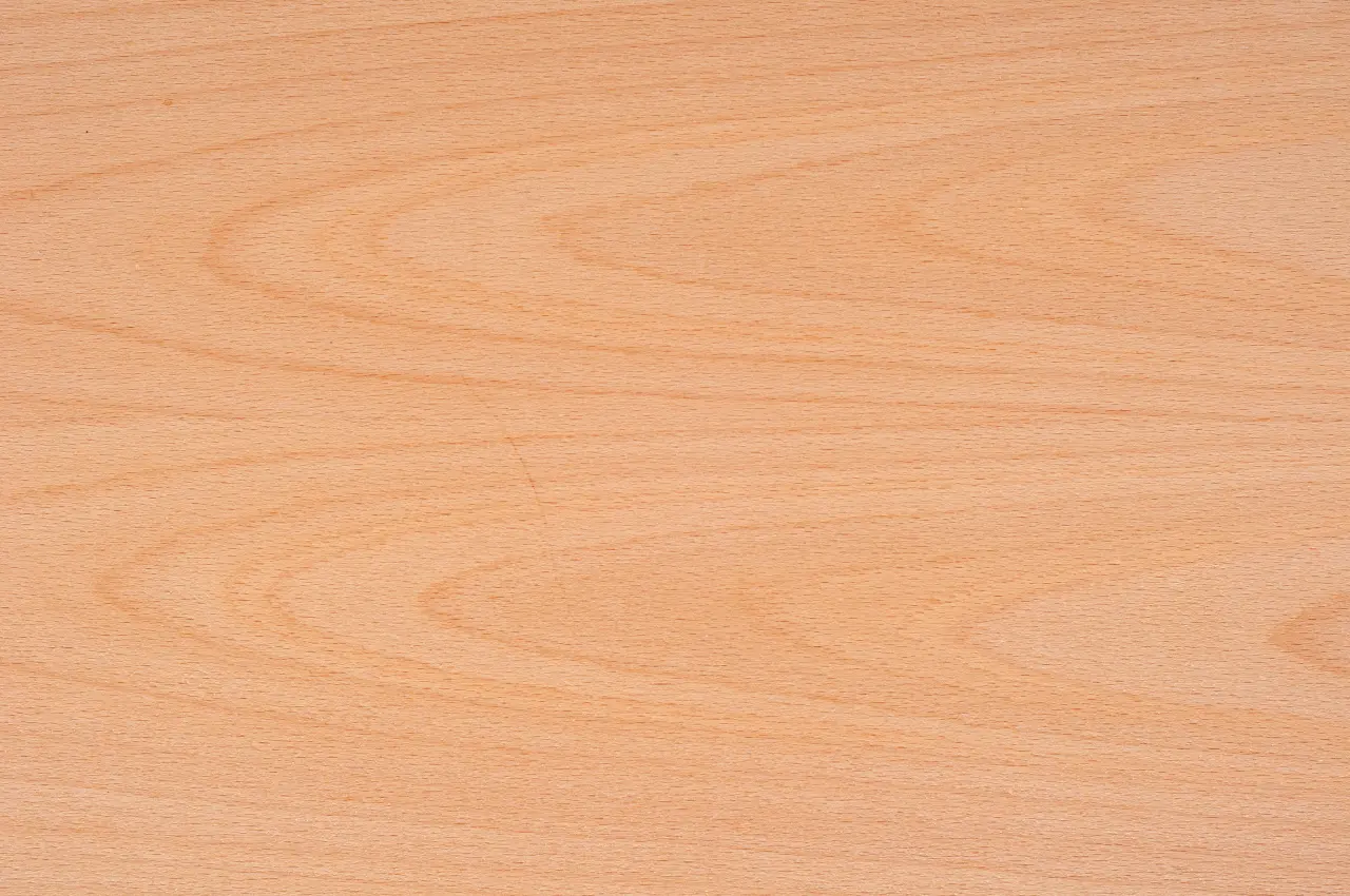 Steamed European Beech 