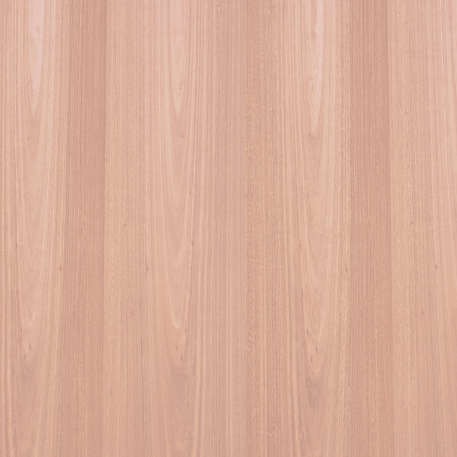 Classique Eucalyptus - Plymasters