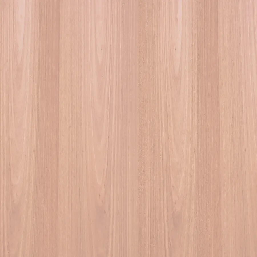 Classique Eucalyptus 