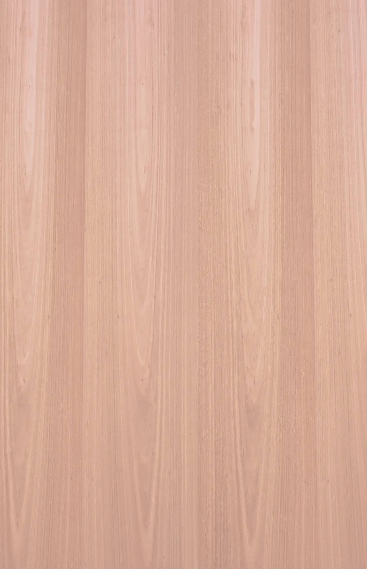 Classique Eucalyptus 