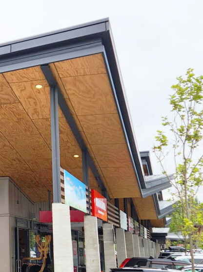 LOSP Treated NZ Pine