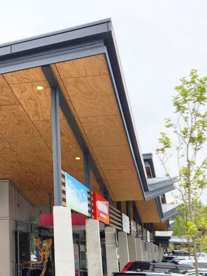 LOSP Treated NZ Pine