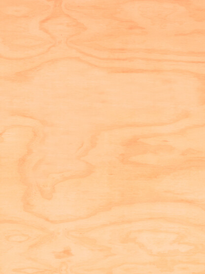 Chilean Pine
