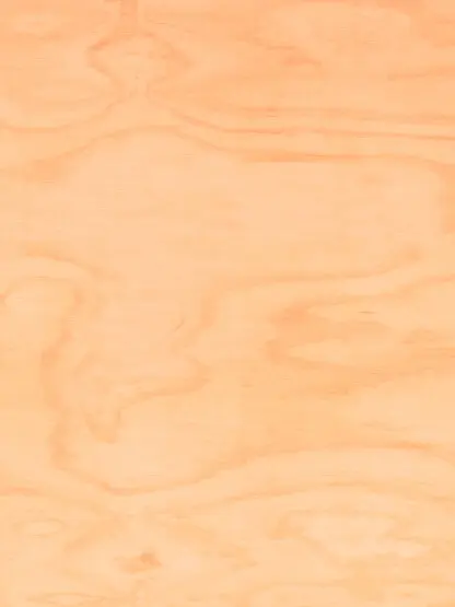 Chilean Pine