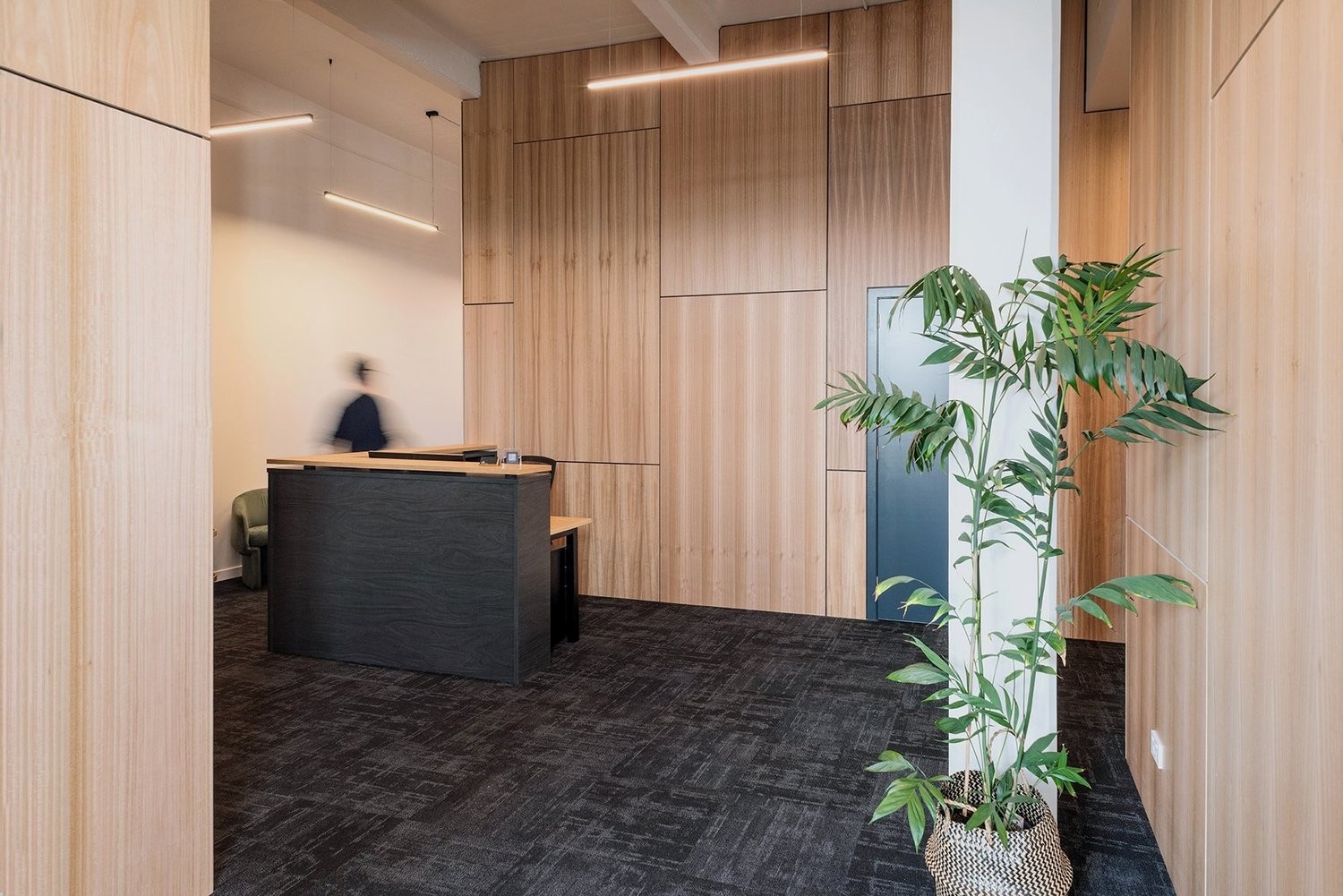 Classique Eucalyptus Pre 