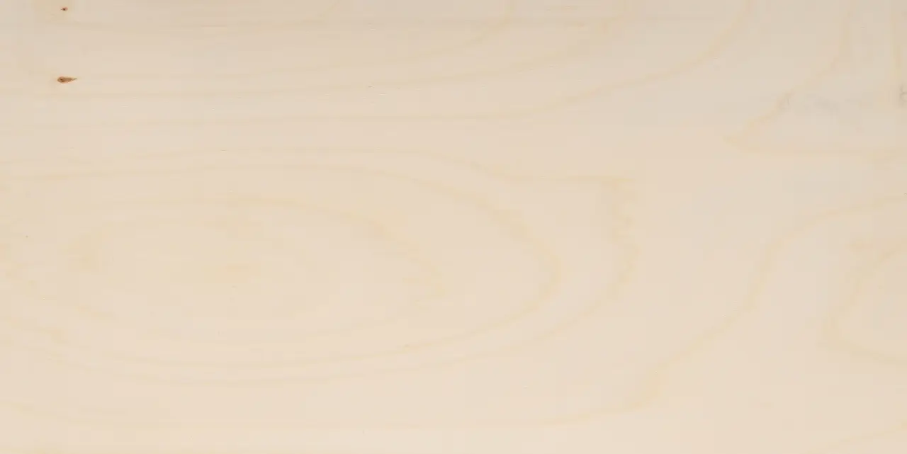Euro Poplar 