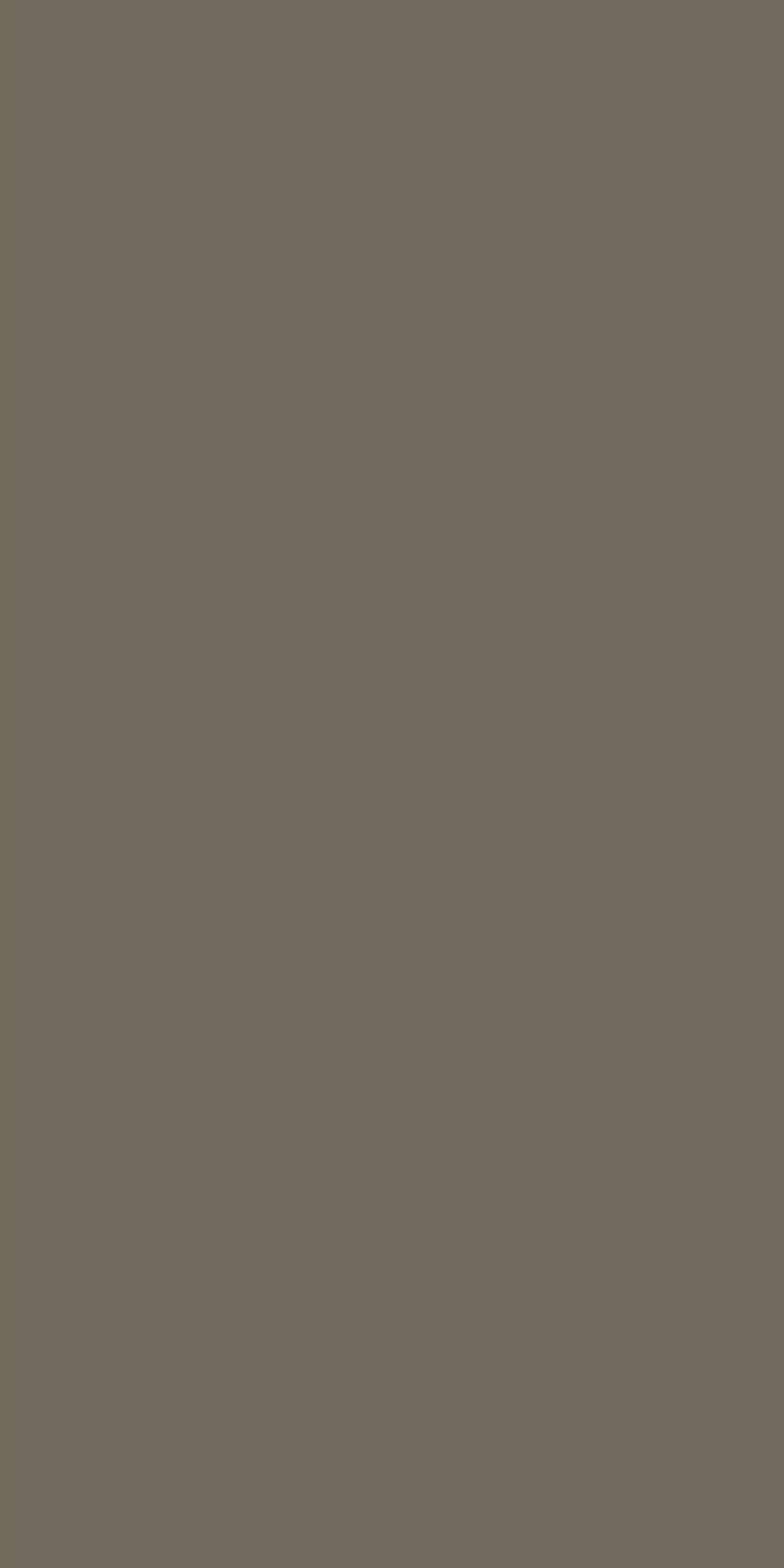 HPL Italia Pine Nut 