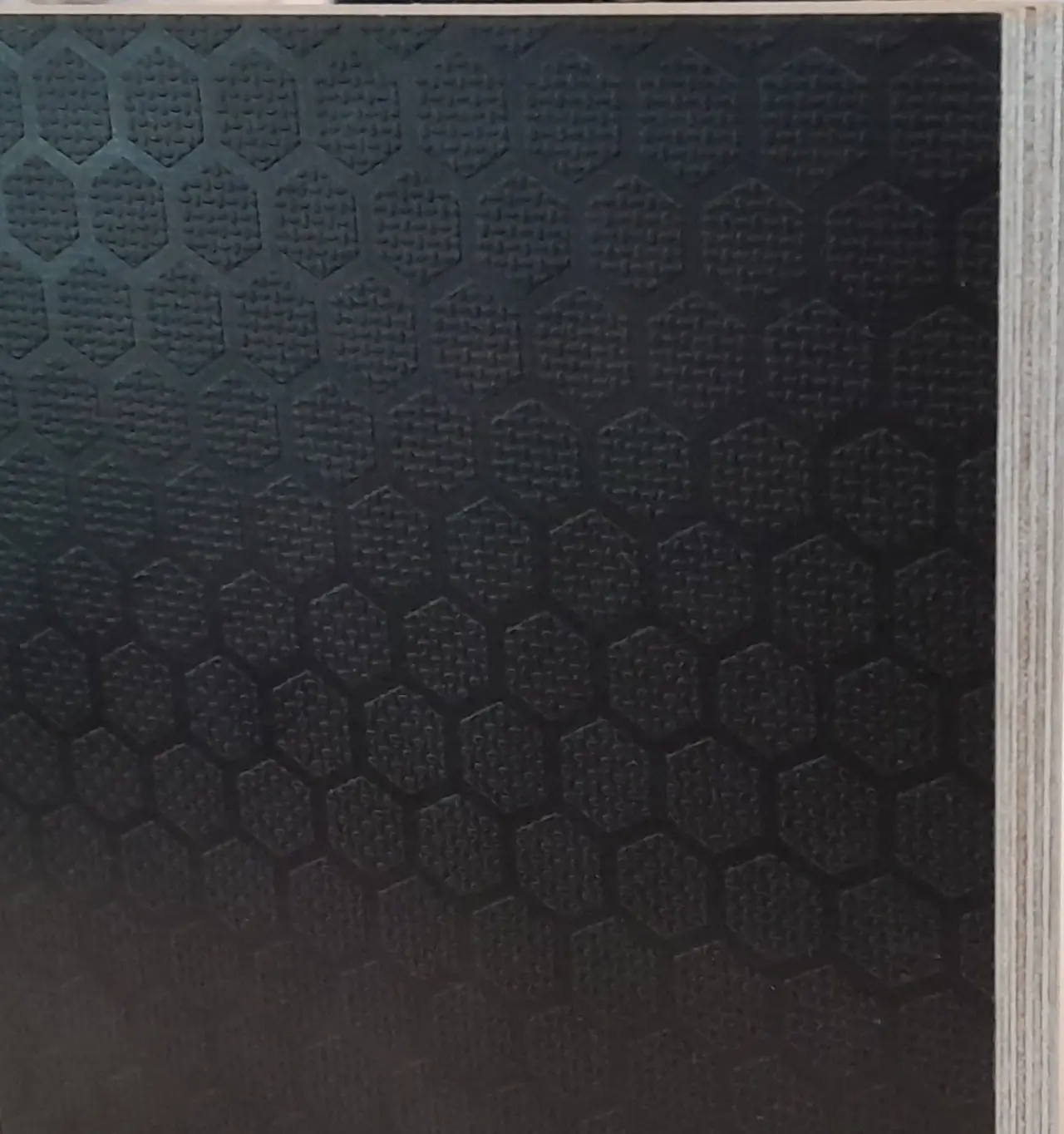 Hexa-Interior Gripdeck 