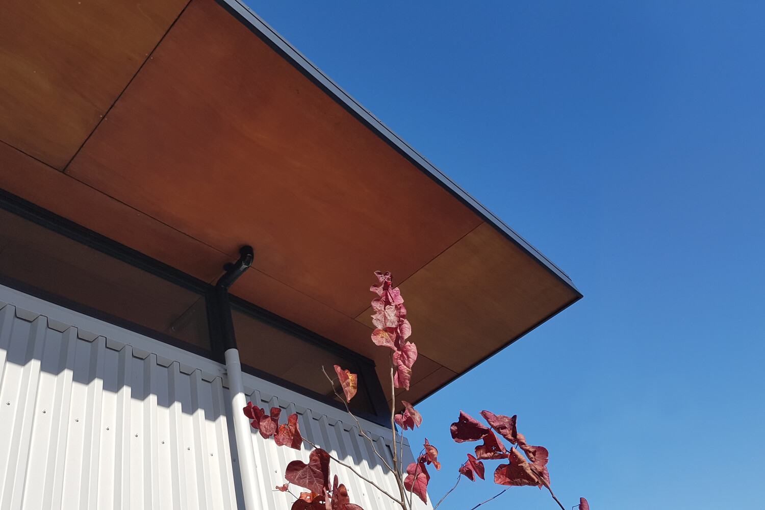 Meranti Blue Sky expanded