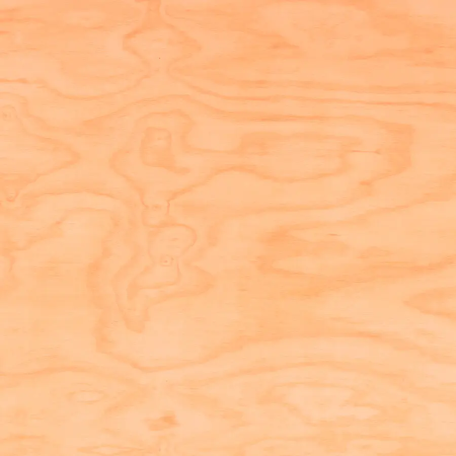 NZ Radiata Pine 