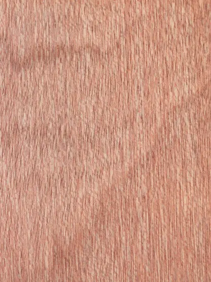Rapidline Pacific Maple
