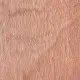 Rapidline Pacific Maple 
