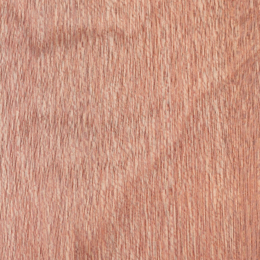 Rapidline Pacific Maple 