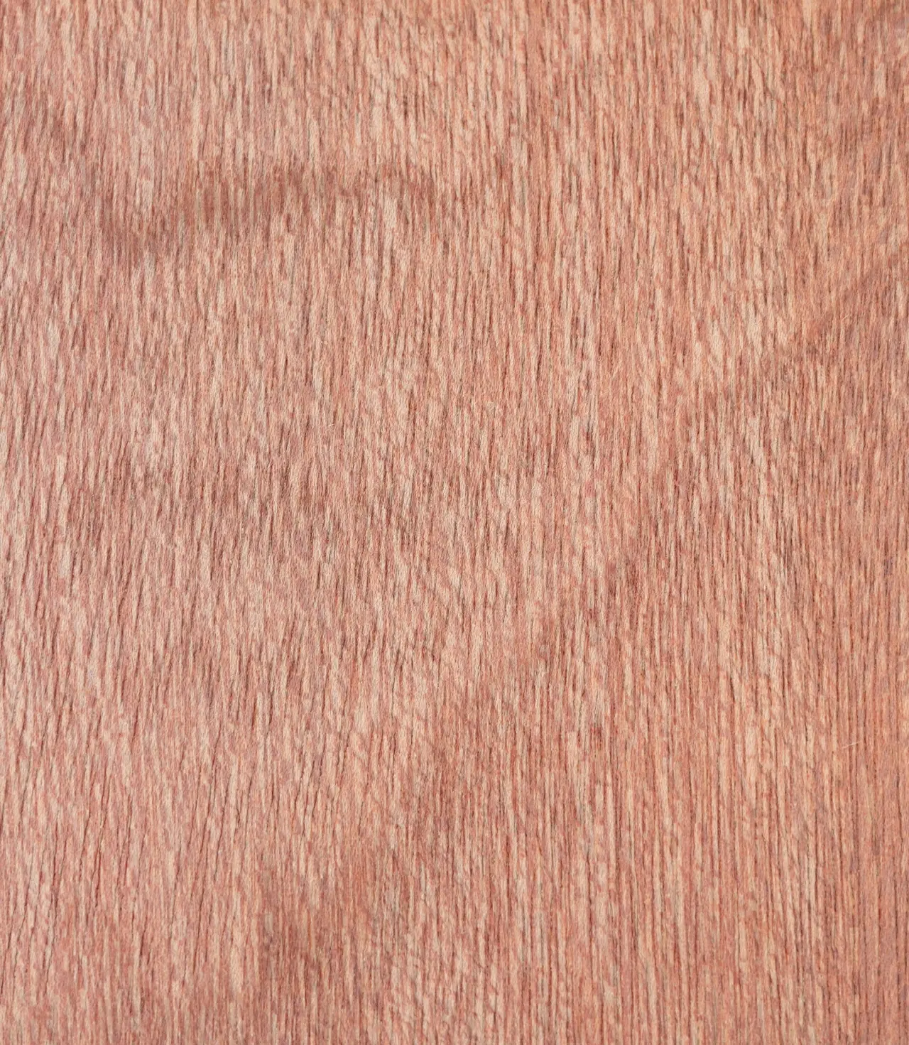Rapidline Pacific Maple 