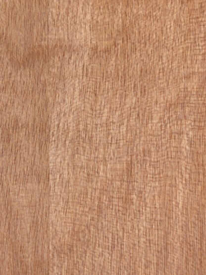 Rapidline Pacific Maple