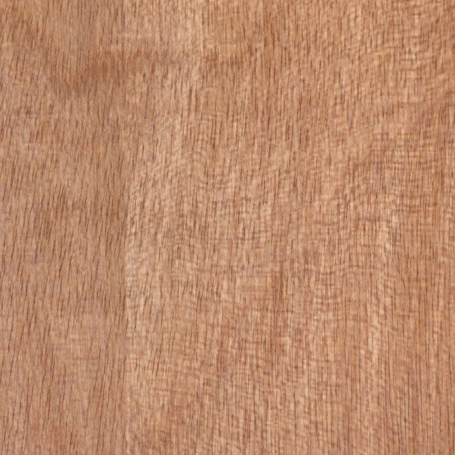 Rapidline Pacific Maple 