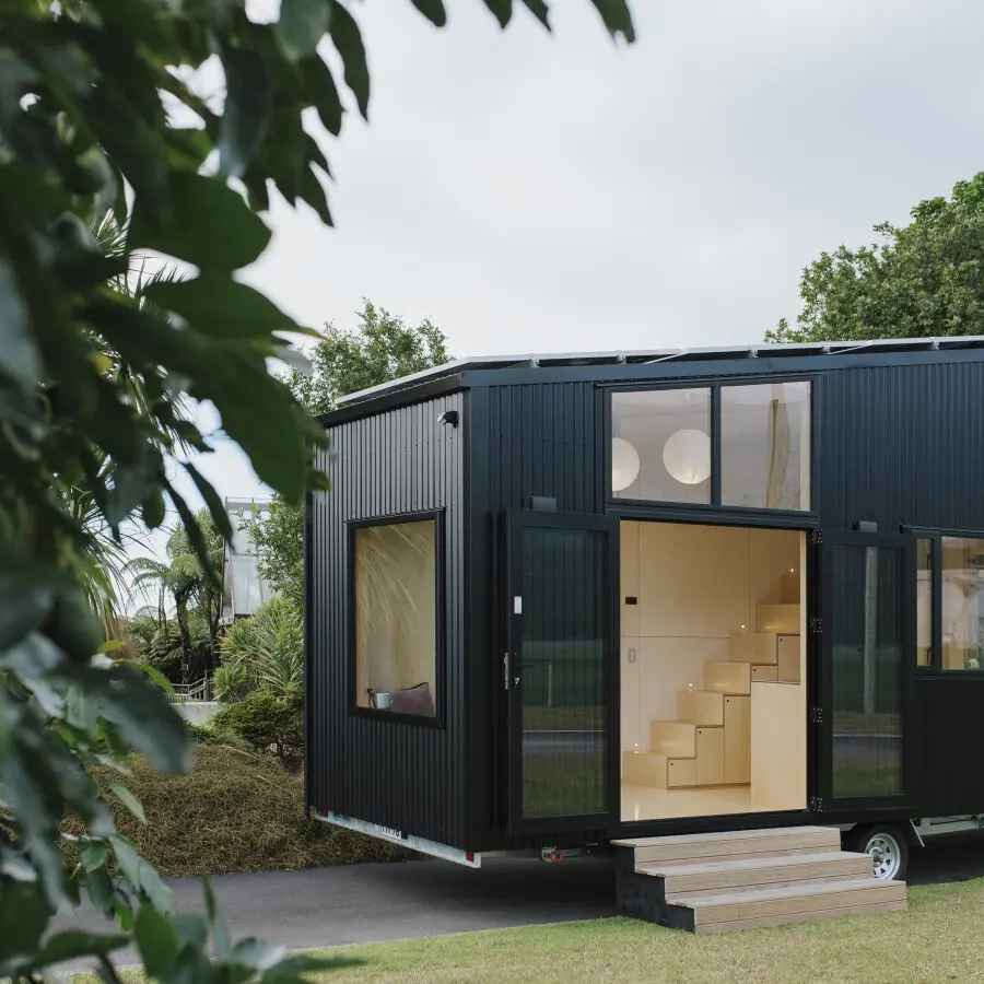 Euro Poplar 