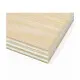Rapidline White Oak 