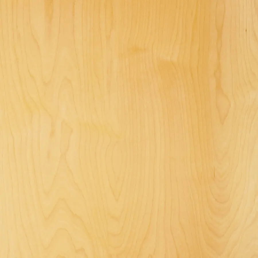 Rapidline Birch UV 