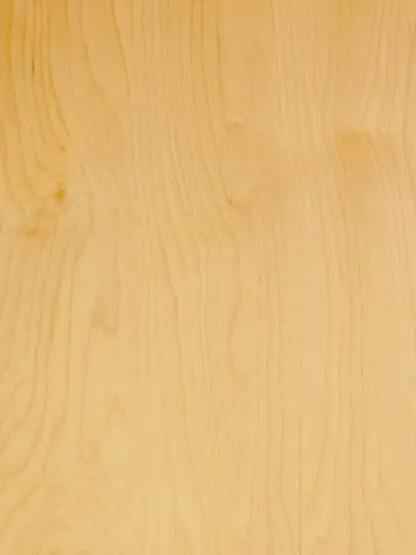 Rapidline Birch
