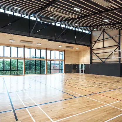 euro birch multiply ceiling lining school gym