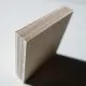 Birch on Poplar 