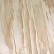 Rapidline Grooved Pine Untreated 
