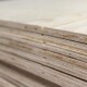 Rapidline Grooved Pine Untreated 