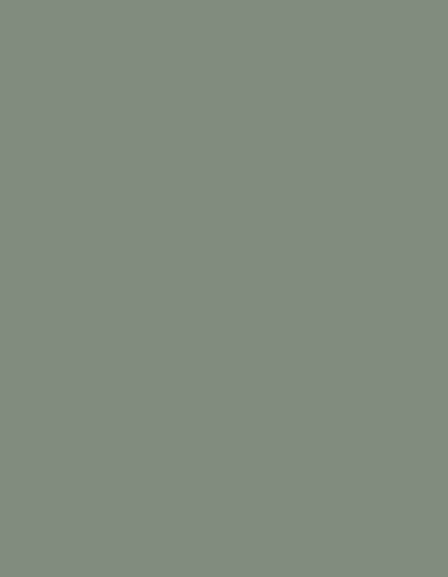HPL Italia Agave 